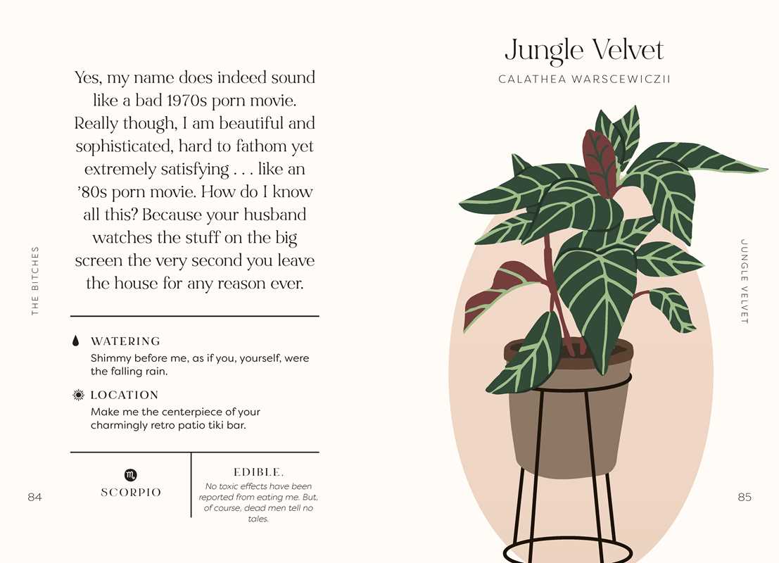 Houseplants and Their Fucked-Up Thoughts by Carlyle Christoff: Hardcover