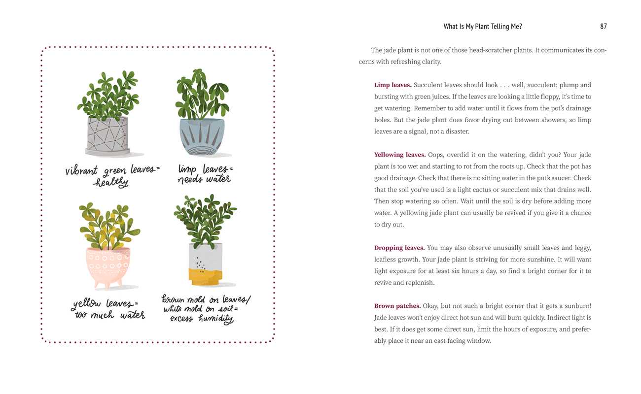 What Is My Plant Telling Me? by Emily L. Hay Hinsdale: Hardcover