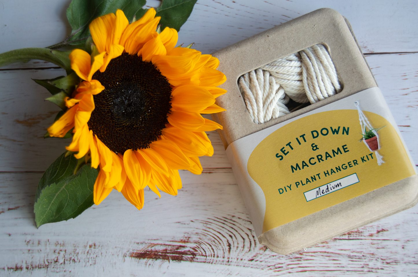 DIY Macrame Plant Hanger Kit: Small