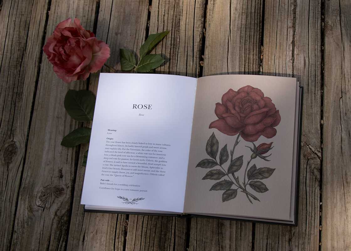 Floriography by Jessica  Roux: Hardcover