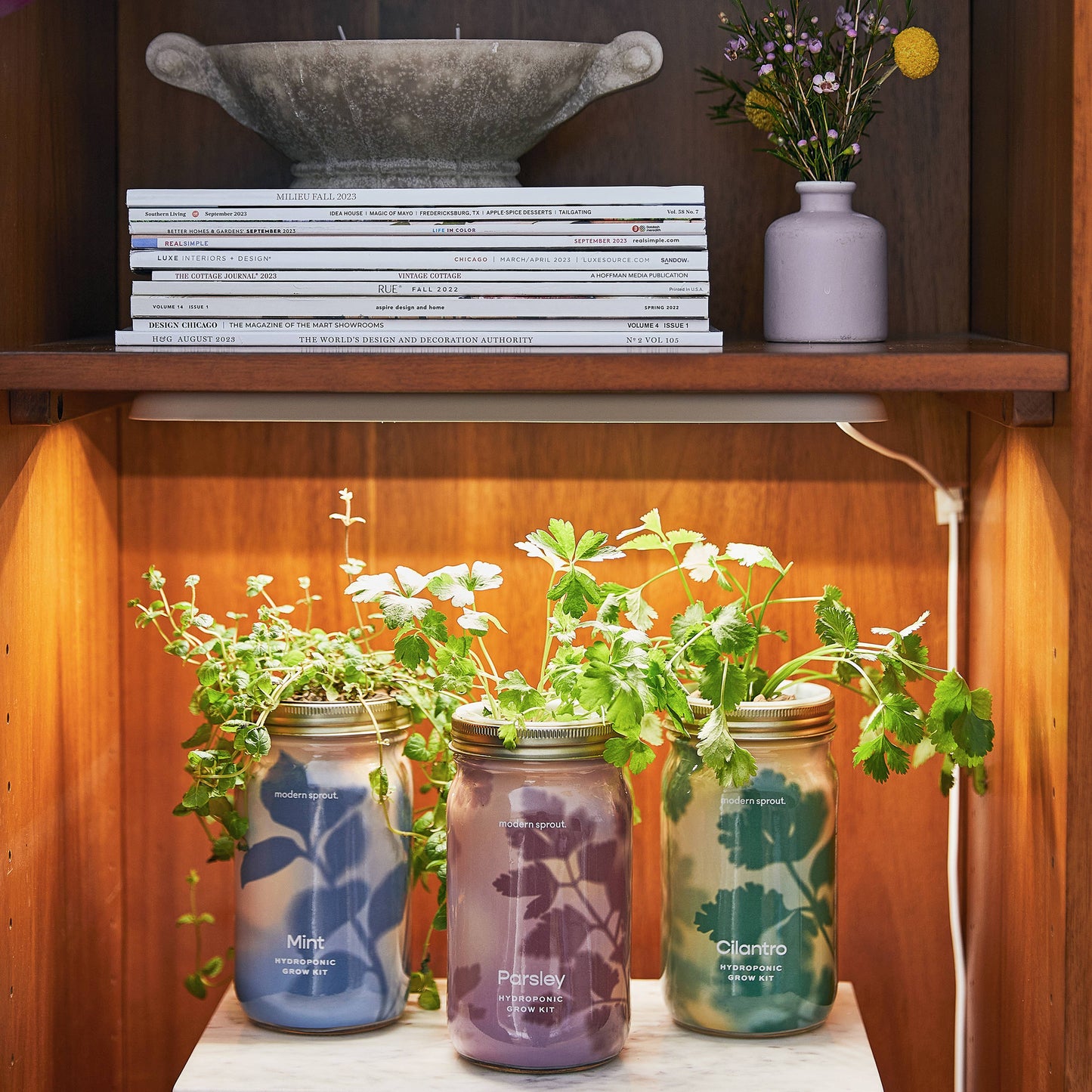 Modern Sprout - Herb Garden Jar: Basil