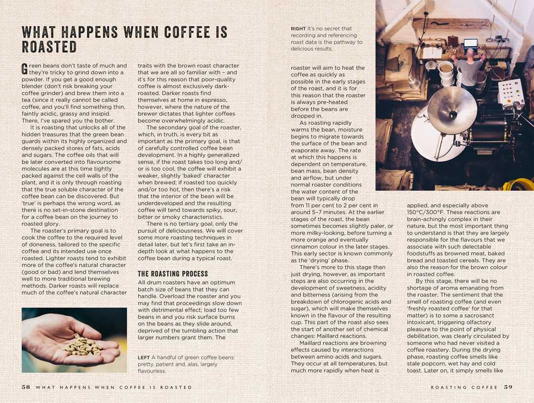 Curious Barista's Guide to Coffee by Tristan Stephenson: Hardcover