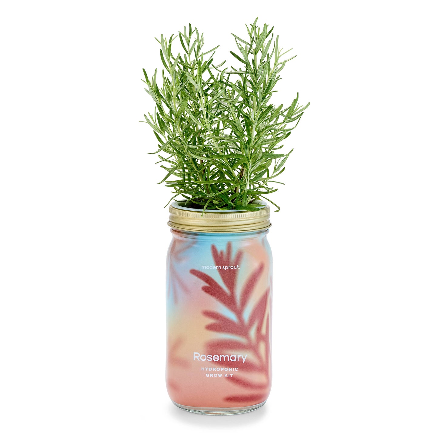 Modern Sprout - Herb Garden Jar: Basil