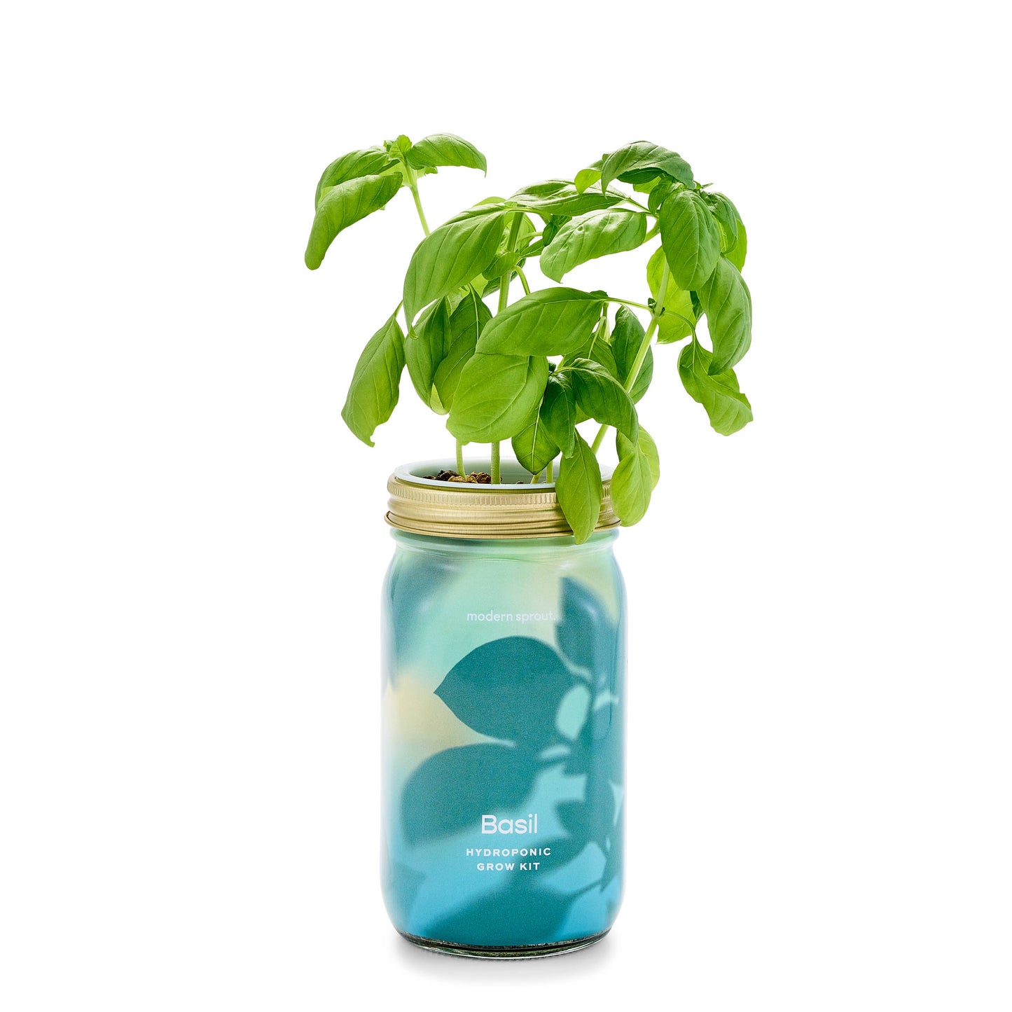Modern Sprout - Herb Garden Jar: Basil