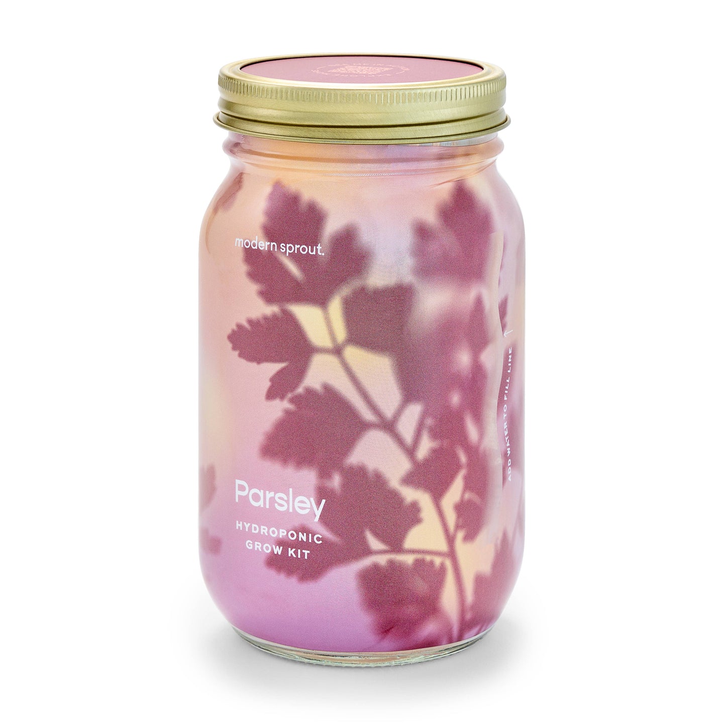 Modern Sprout - Herb Garden Jar: Basil