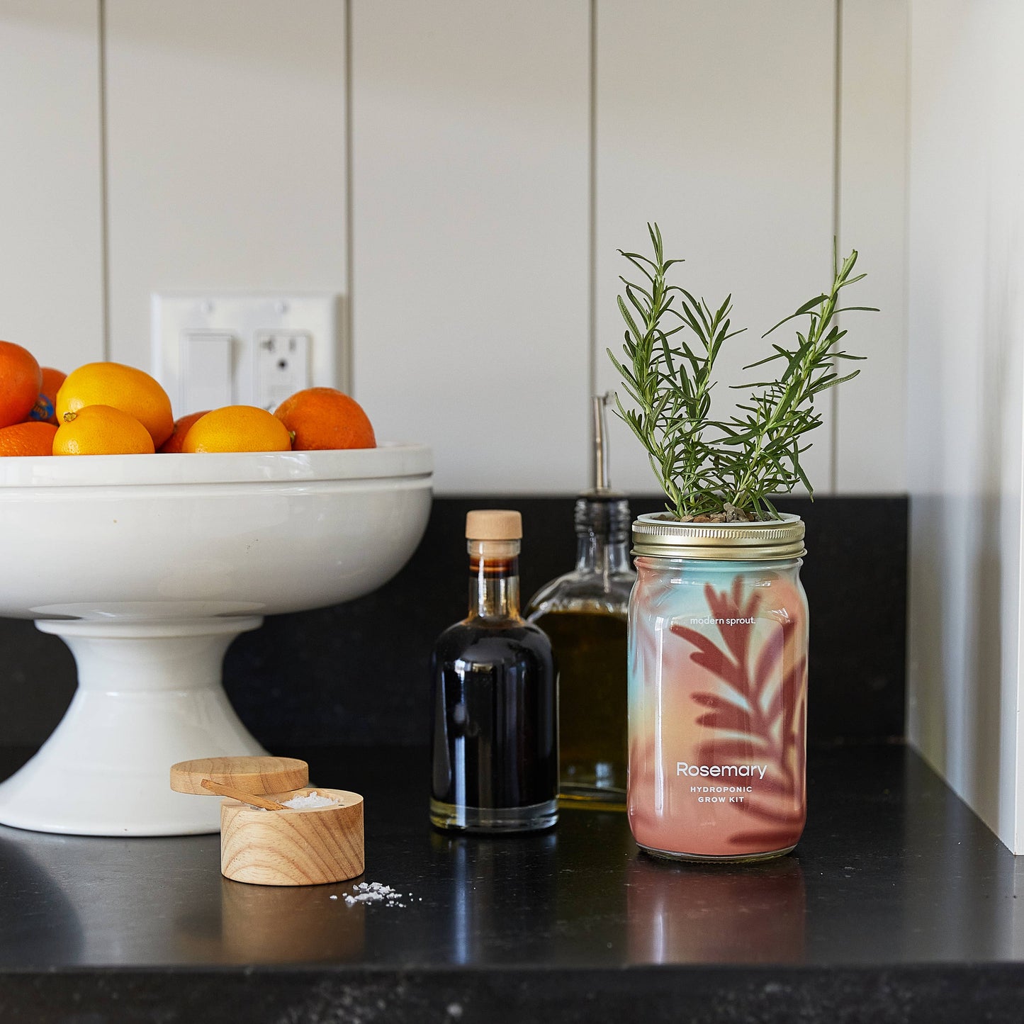 Modern Sprout - Herb Garden Jar: Basil