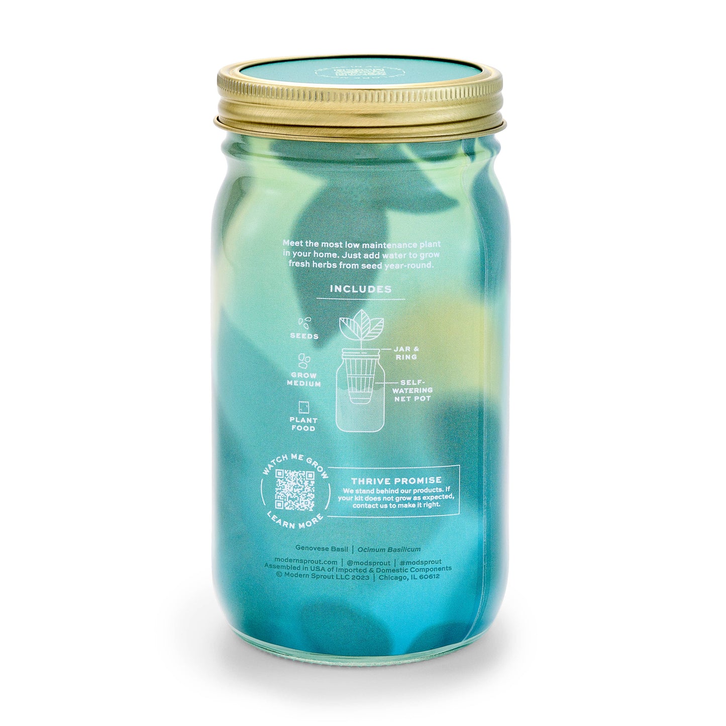 Modern Sprout - Herb Garden Jar: Basil