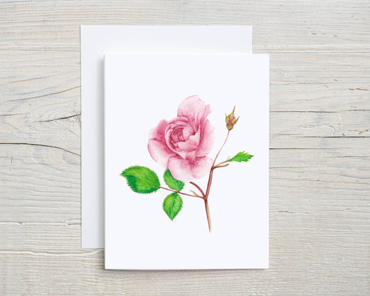 Pink Rose hand painted watercolor card, spring floral card