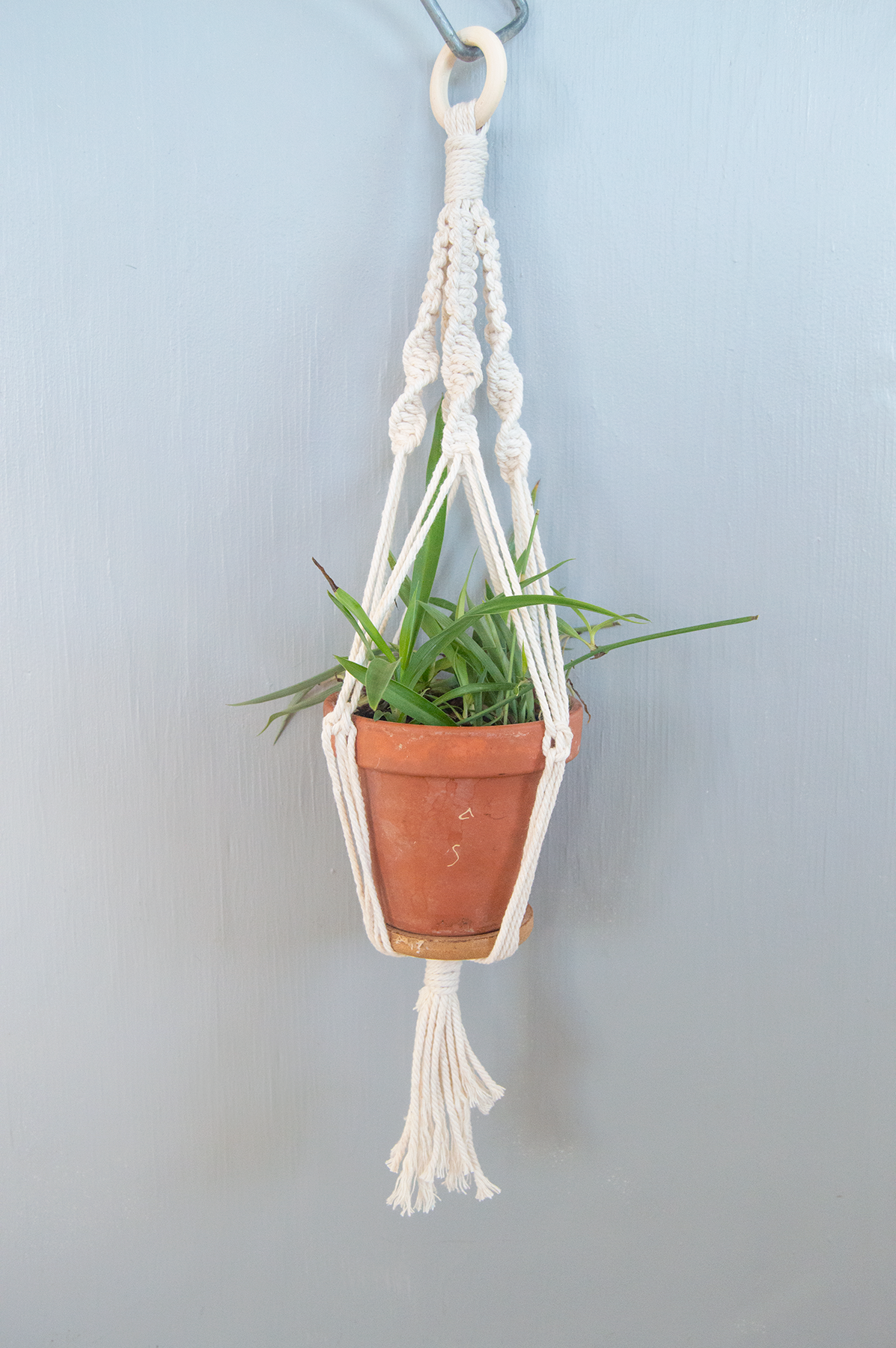DIY Macrame Plant Hanger Kit: Small