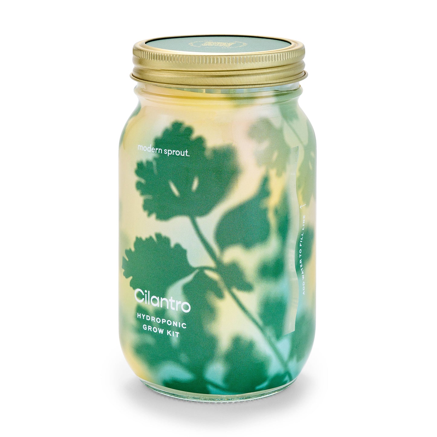 Modern Sprout - Herb Garden Jar: Basil