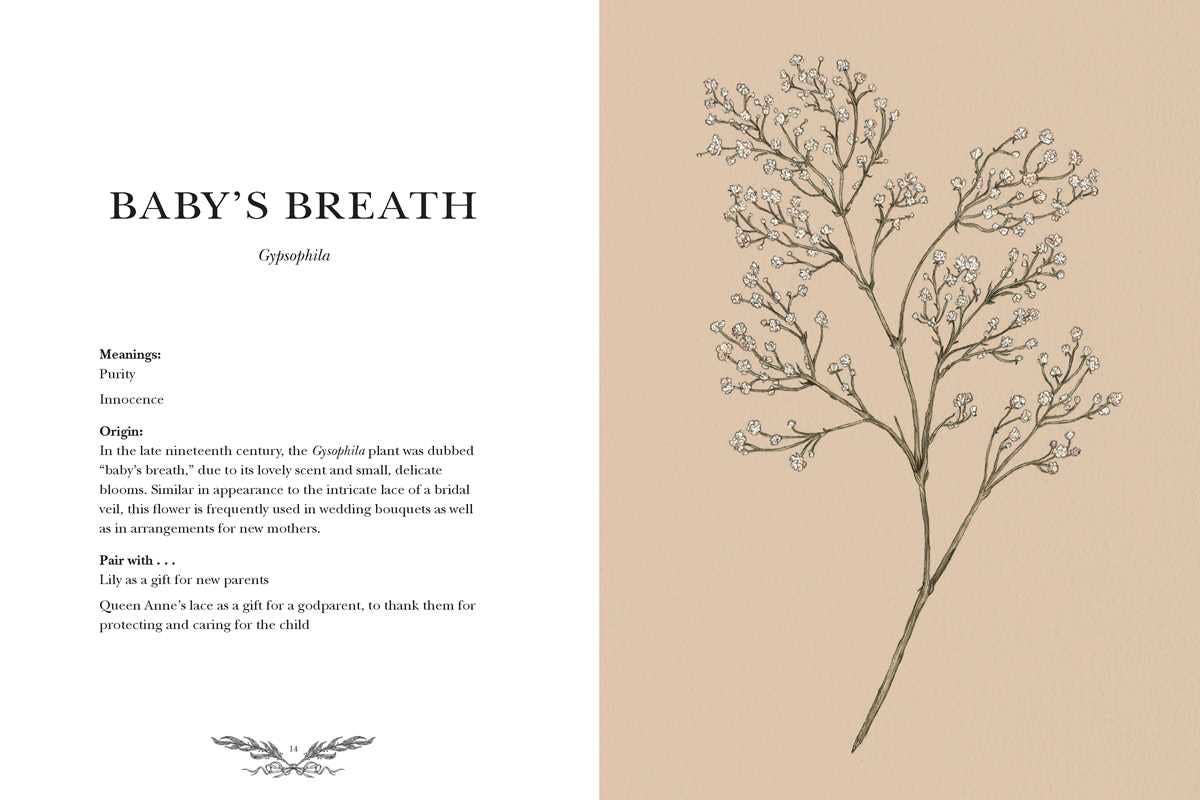 Floriography by Jessica  Roux: Hardcover