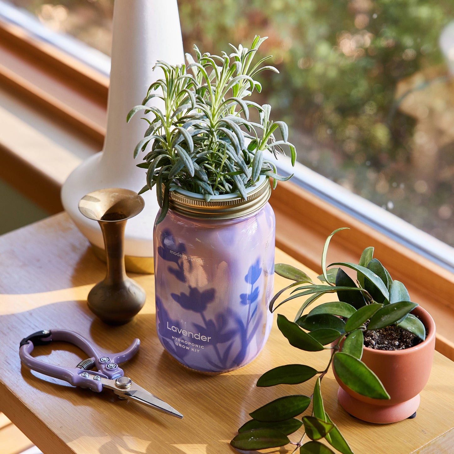 Modern Sprout - Herb Garden Jar: Basil