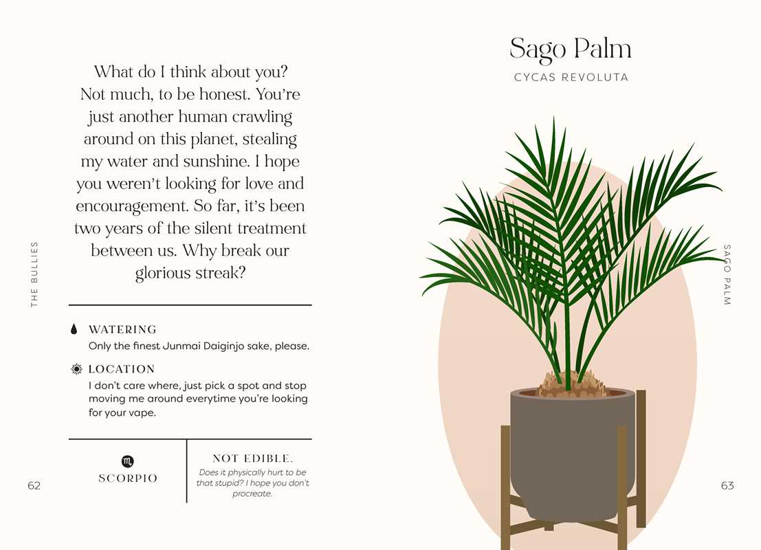Houseplants and Their Fucked-Up Thoughts by Carlyle Christoff: Hardcover