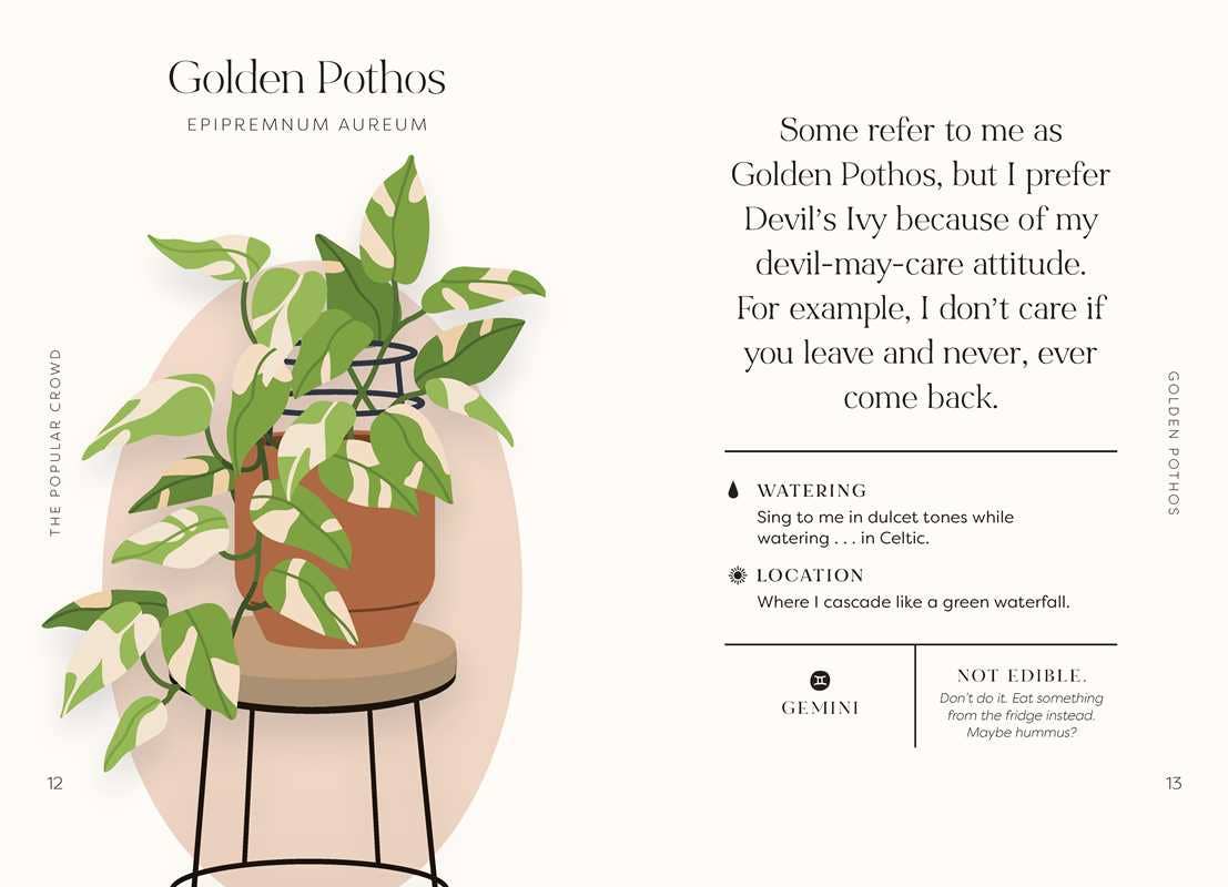 Houseplants and Their Fucked-Up Thoughts by Carlyle Christoff: Hardcover