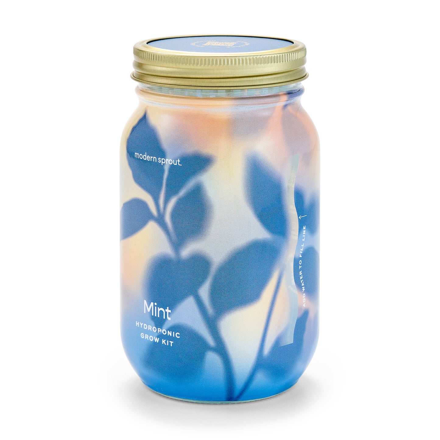 Modern Sprout - Herb Garden Jar: Basil