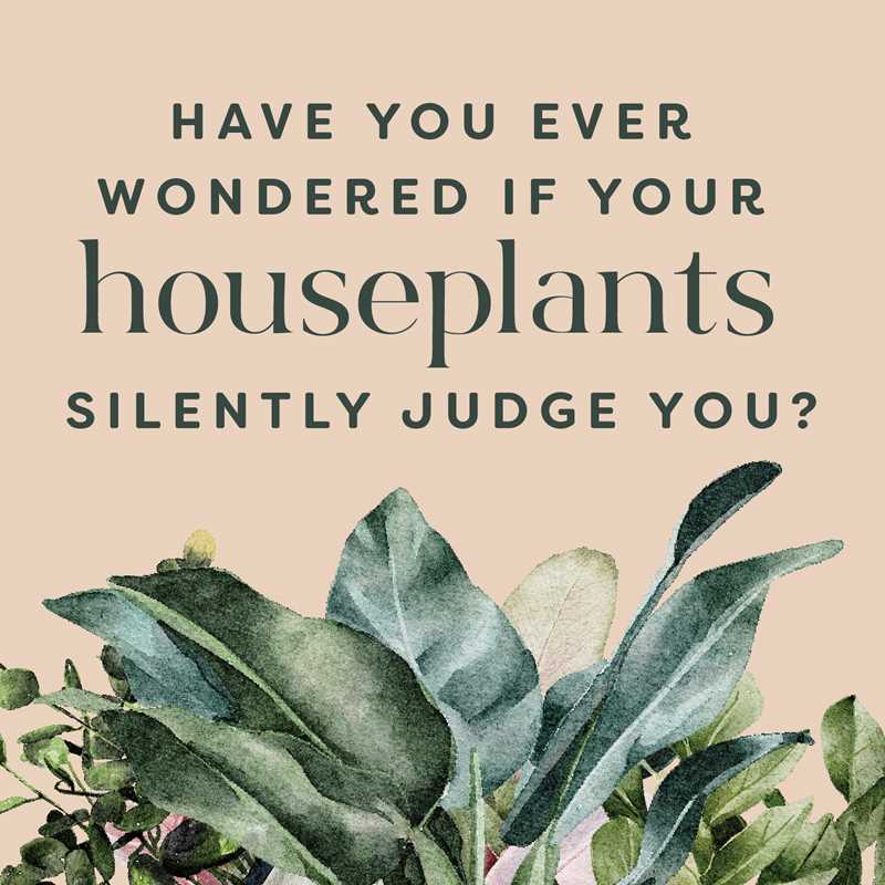 Houseplants and Their Fucked-Up Thoughts by Carlyle Christoff: Hardcover