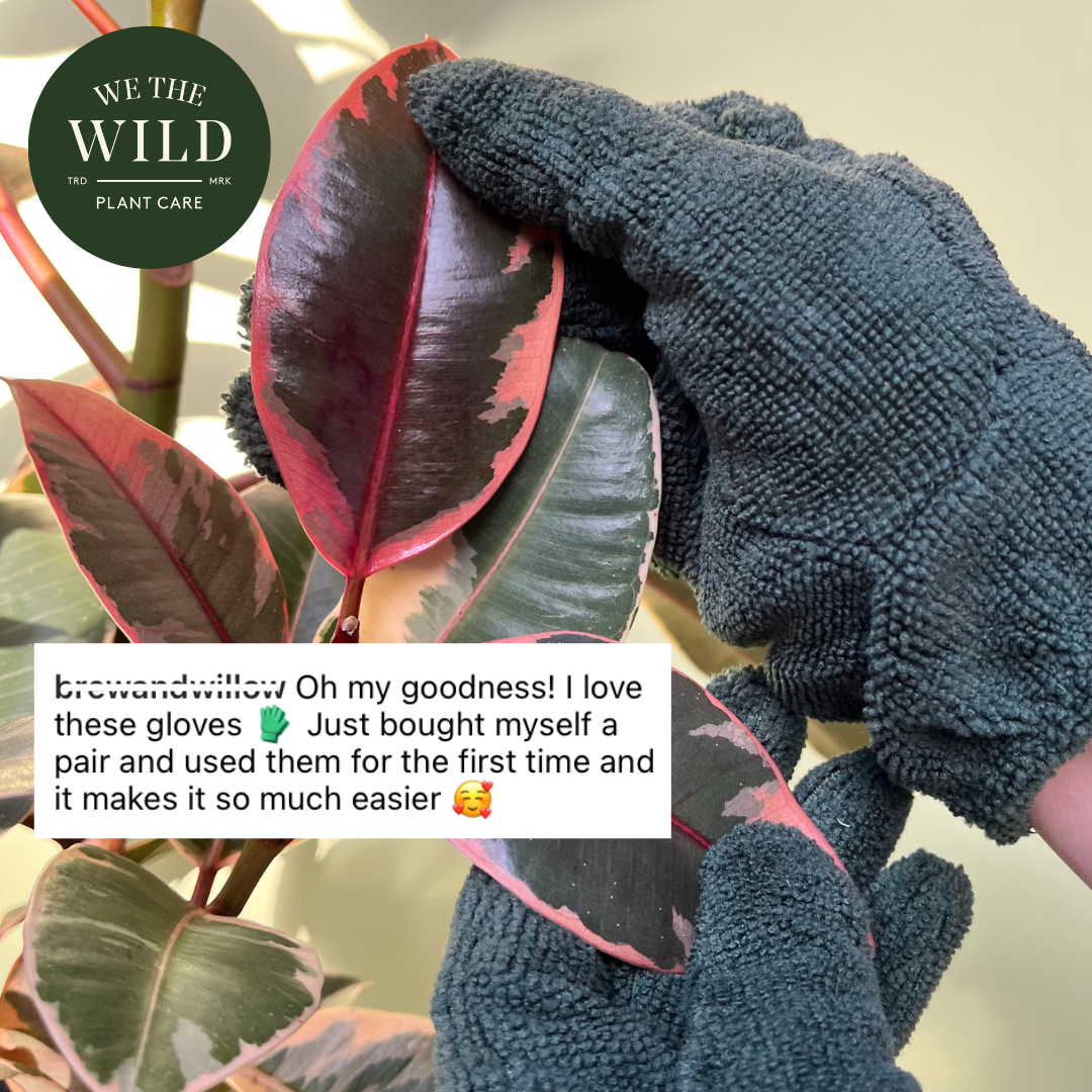 Microfiber Leaf Cleaning Gloves