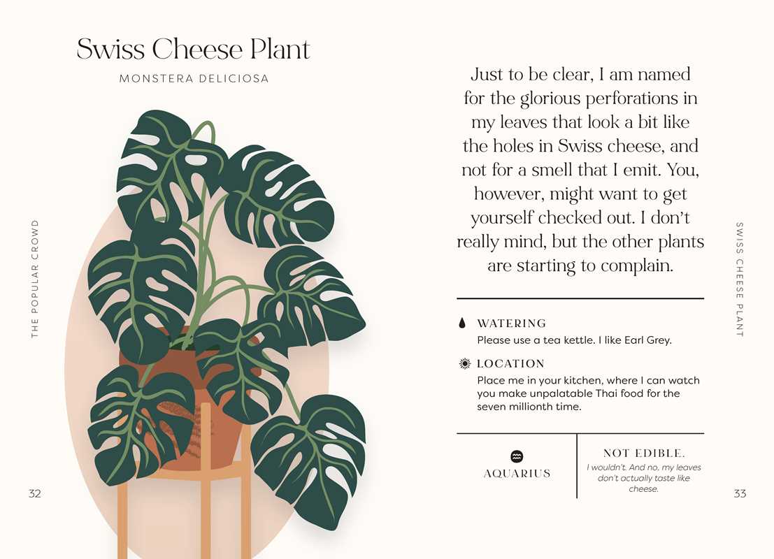 Houseplants and Their Fucked-Up Thoughts by Carlyle Christoff: Hardcover