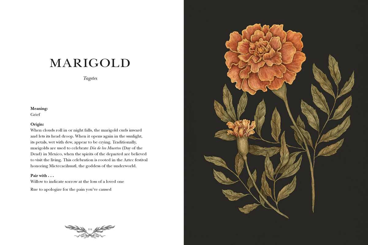 Floriography by Jessica  Roux: Hardcover
